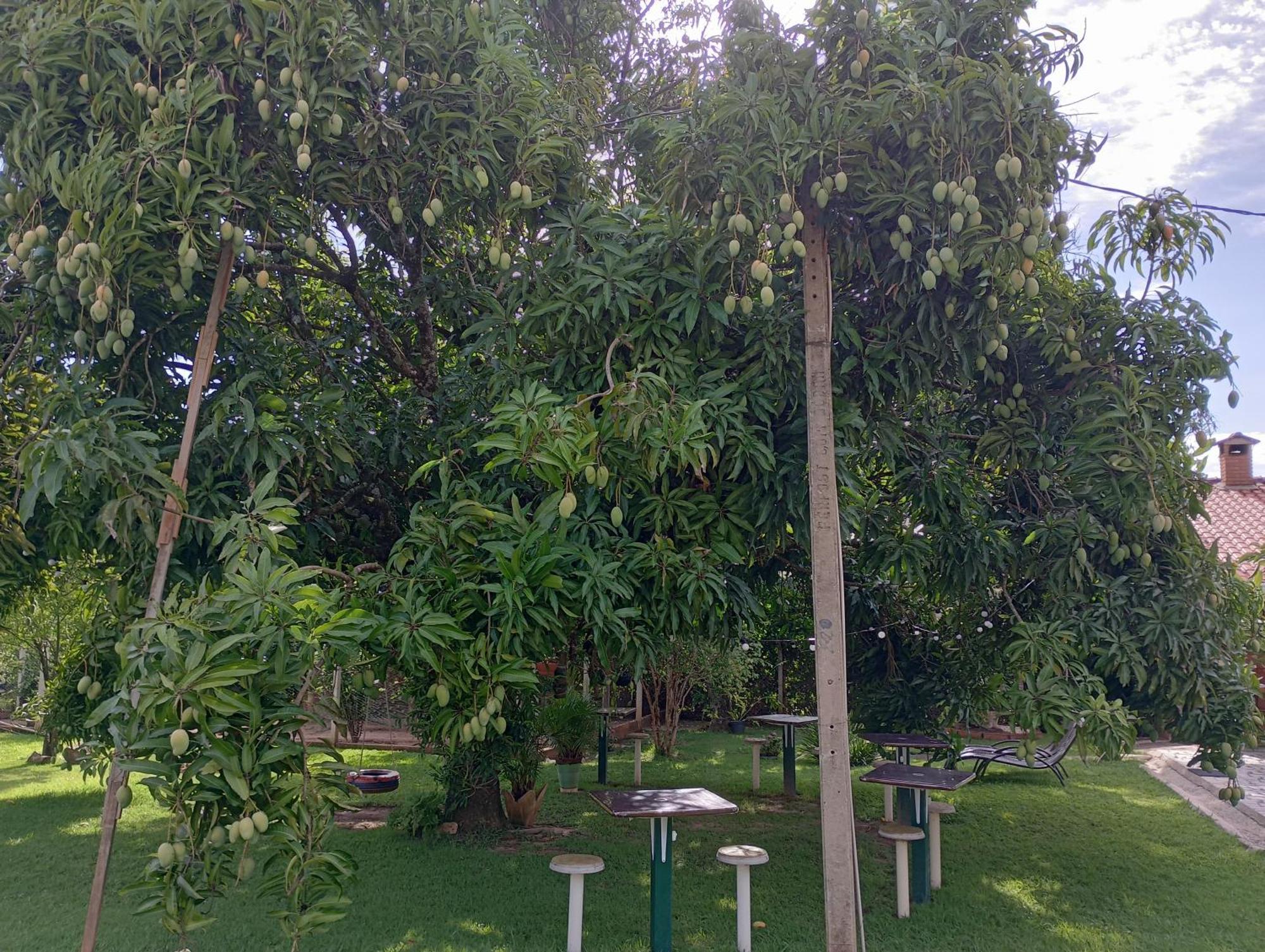 Pousada Chacara Vivalli Holambra Exterior foto