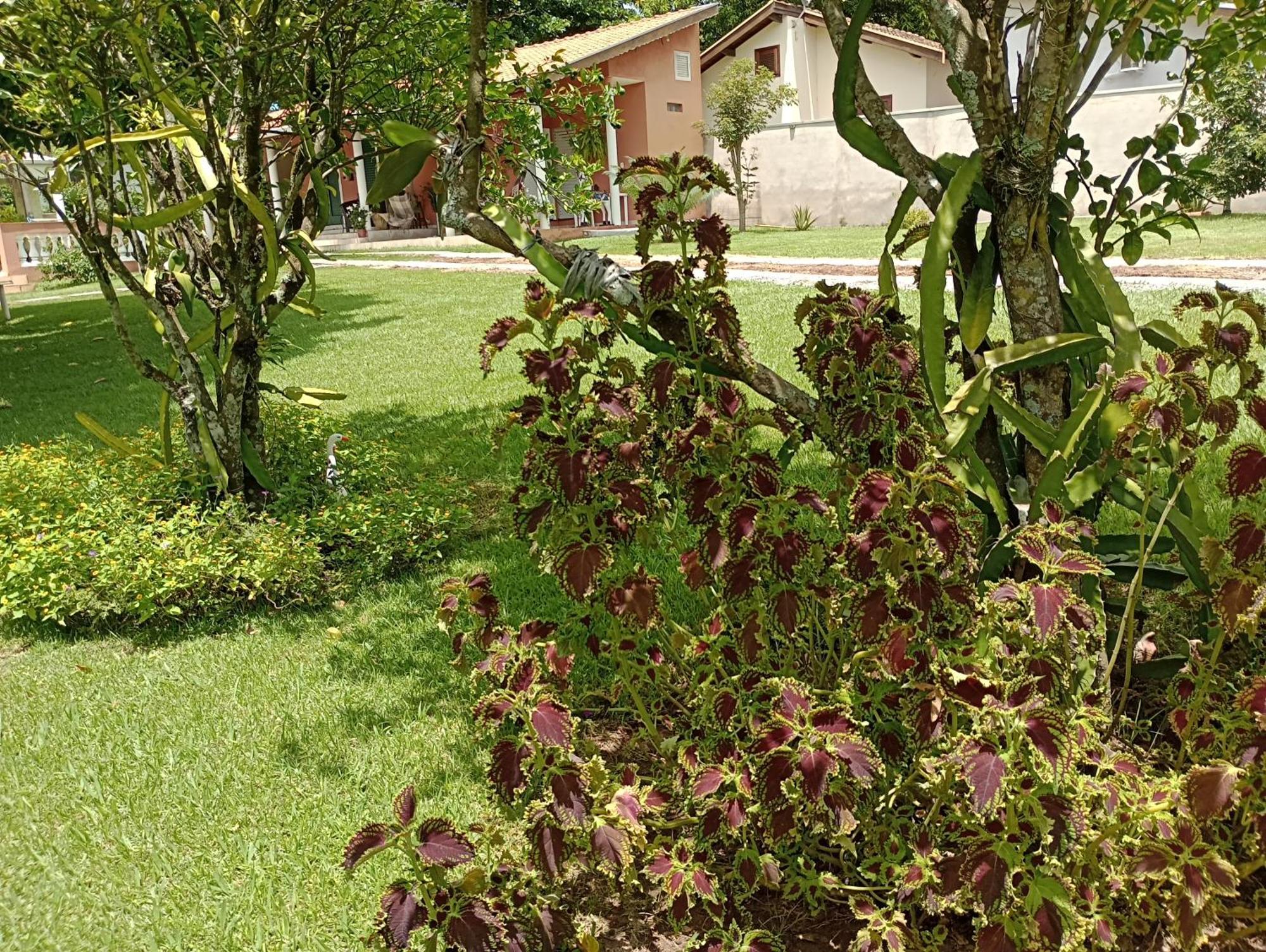 Pousada Chacara Vivalli Holambra Exterior foto