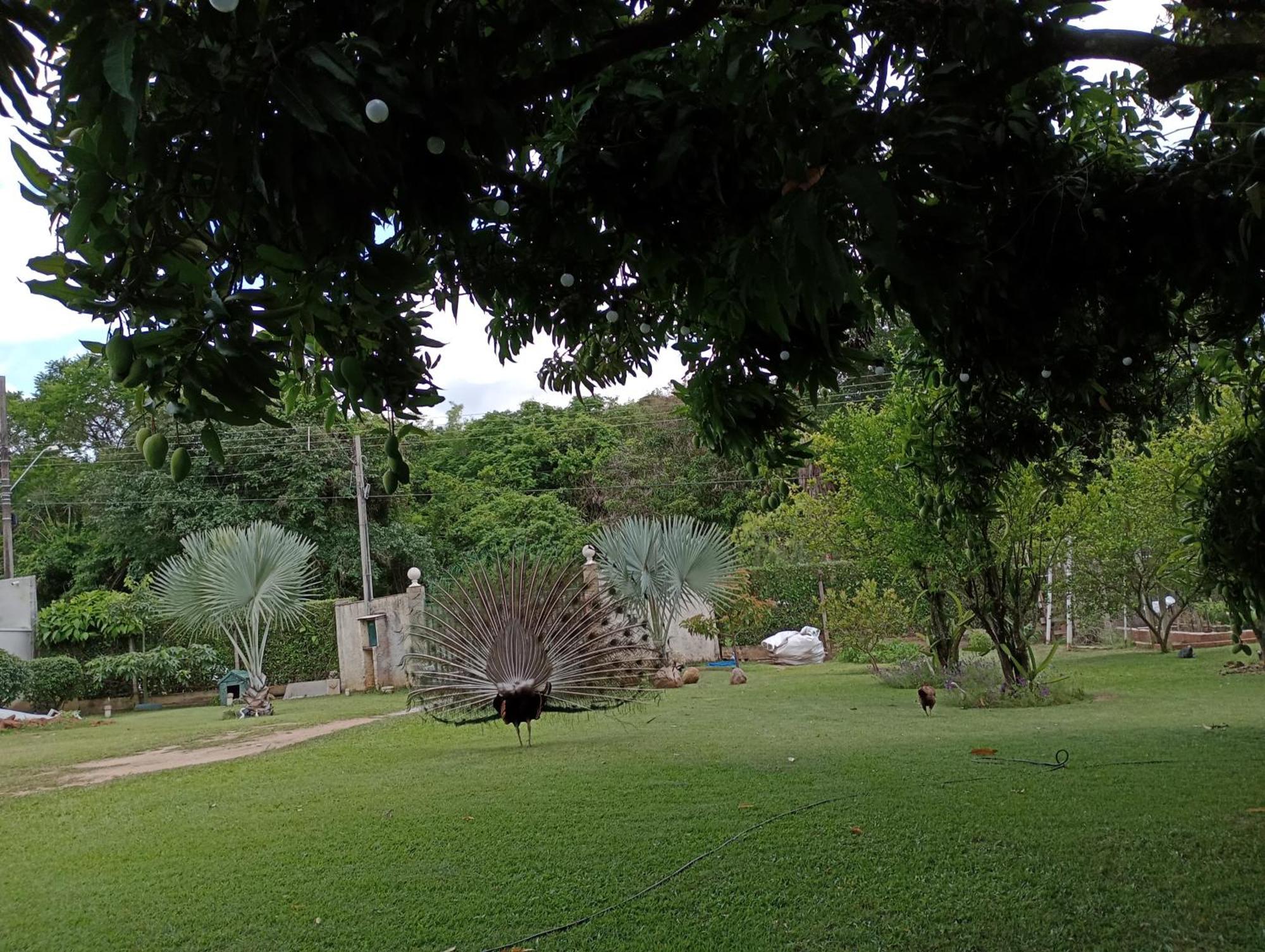 Pousada Chacara Vivalli Holambra Exterior foto