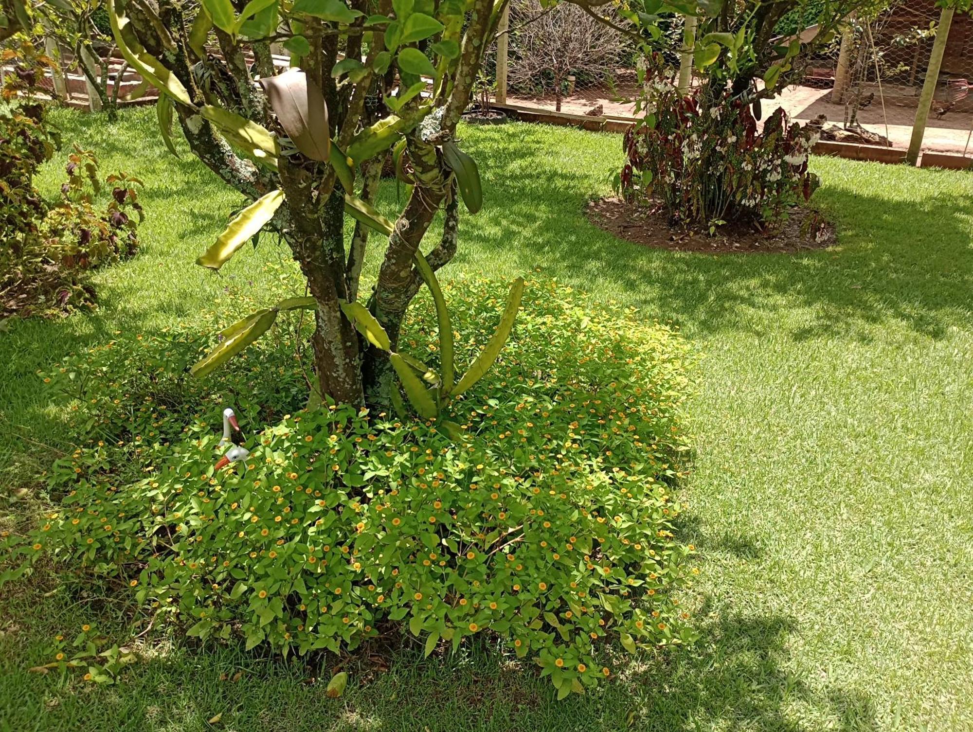 Pousada Chacara Vivalli Holambra Exterior foto